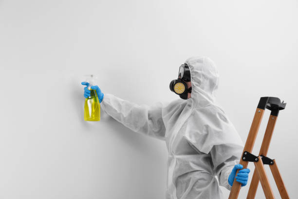 Best Environmental Consulting for Mold Prevention  in Duvall, WA